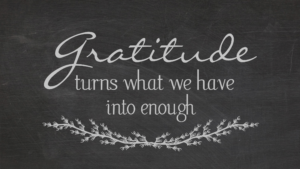 Holiday Gratitude